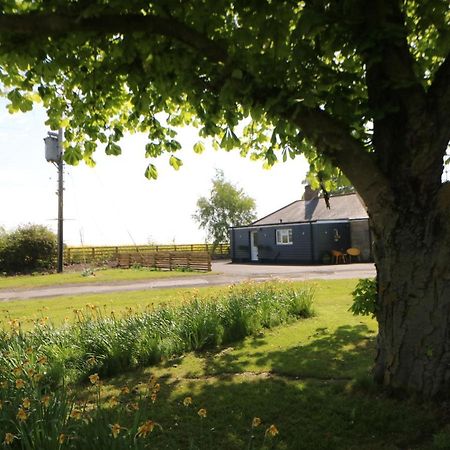 The Bungalow Newcastle upon Tyne Exterior photo